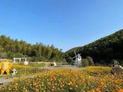 -宁波浙东大竹海景区