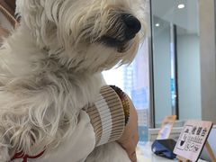 -谐和贝康宠物医院24小时·宠保定点(急重症转诊中心)