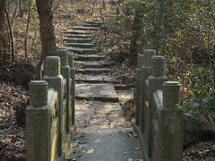 -灵谷景区
