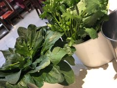 -思阁炭香火锅(学伟鑫城总店)