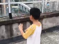 -博沃思·专注力·心理咨询·家庭教育(世豪中心)