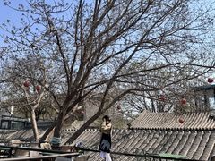 -糖房咖啡(南锣鼓巷店)