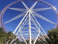 -哈尔滨文化公园