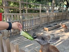 -水上乐园·欢乐世界