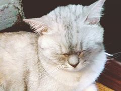 -不舍昼夜咖啡馆