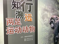 -国家自然博物馆