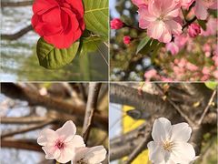 -江苏三台山国家森林公园