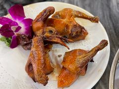 -鸽鸟轩(石岐店)