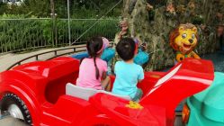 -大望京儿童游乐场