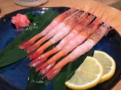 -团子君寿司·茶