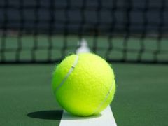 -火星羽毛球游泳乒乓球网球篮球台球滑板轮滑(踏水桥北街店)