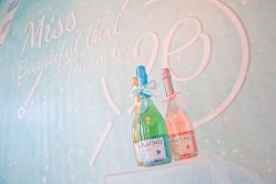 -圣塔拉 宝宝宴生日Party气球派对一站式高端策划