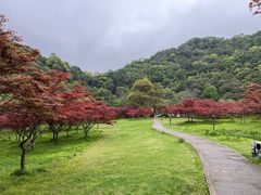 -五泄景区