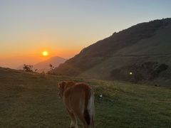 -大姆山草场