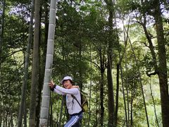 -江西阳明山国家森林公园