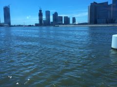 -海河外滩公园