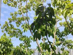 -茅草房·河畔园林火锅