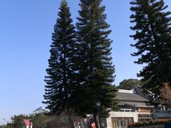 -广州市石门国家森林公园