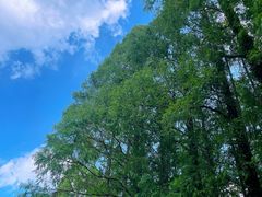 -上海虹桥迎宾馆