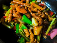 -大富蚝乌东哥饭店·石锅鱼杂·柠檬鸭(革新路店)