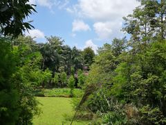 -南宁良凤江国家森林公园