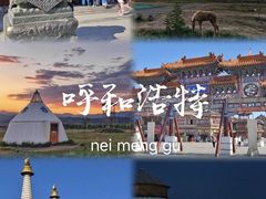 -青城公园