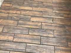 -南国桃园旅游度假区