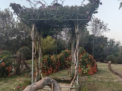 -东莞植物园