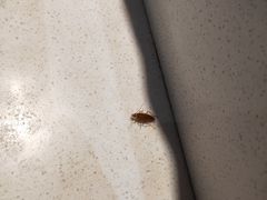 -草原塞蛮羊火锅城(港湾店)