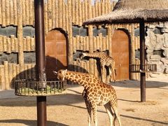 -济南野生动物世界