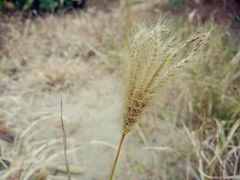 -Tube station站点比萨(王府井百货店)
