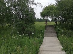 -御道口草原森林风景区