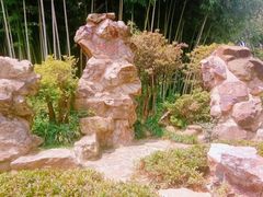 -荆川公园