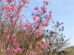 -文华公园(禅城区)