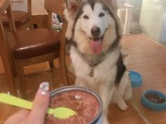 -李小姐の猫咖啡馆(五角场店)