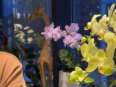 -懒人盐府人家(航天桥店)