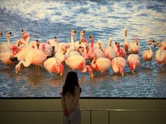 -罗红摄影艺术馆