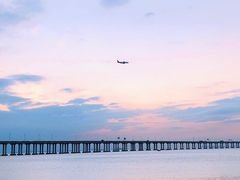 -宝安西湾红树林湿地公园