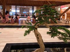 -天沐温泉(抚顺店)