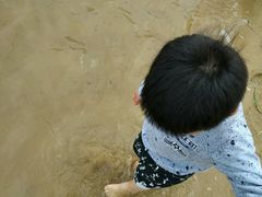 -碧海金沙
