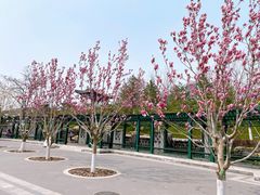 -西海子公园