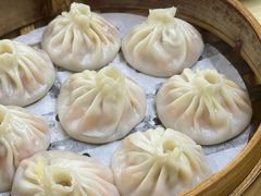 -莱莱小笼·乔艾