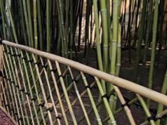 -春晖园度假酒店温泉