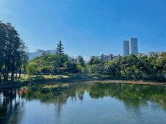 -四海公园(南山区)