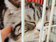 -正阳春烤鸭店(杨楼店)
