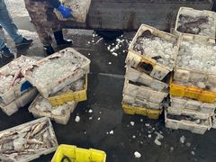 -中国舟山国际水产城