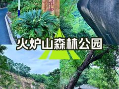 -火炉山森林公园