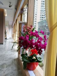 -佐登妮丝美容SPA生活馆