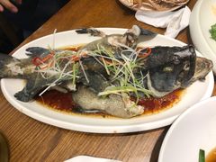 -必点海鲜·鲅鱼水饺(鞍山西道店)