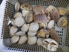 -大众海鲜加工大排档(金海湾大道店)